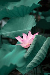 001