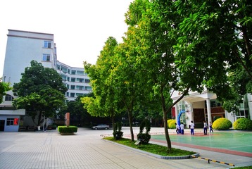 DSC_1356.JPG