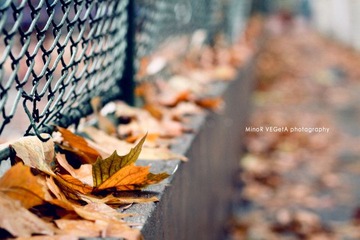 IMG_7757-1.jpg