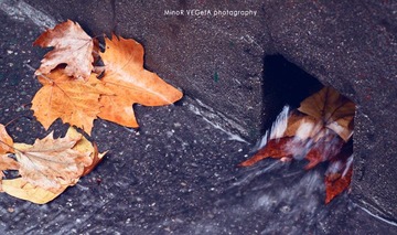 IMG_7762-1.jpg