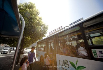 IMG_0542-1p.jpg