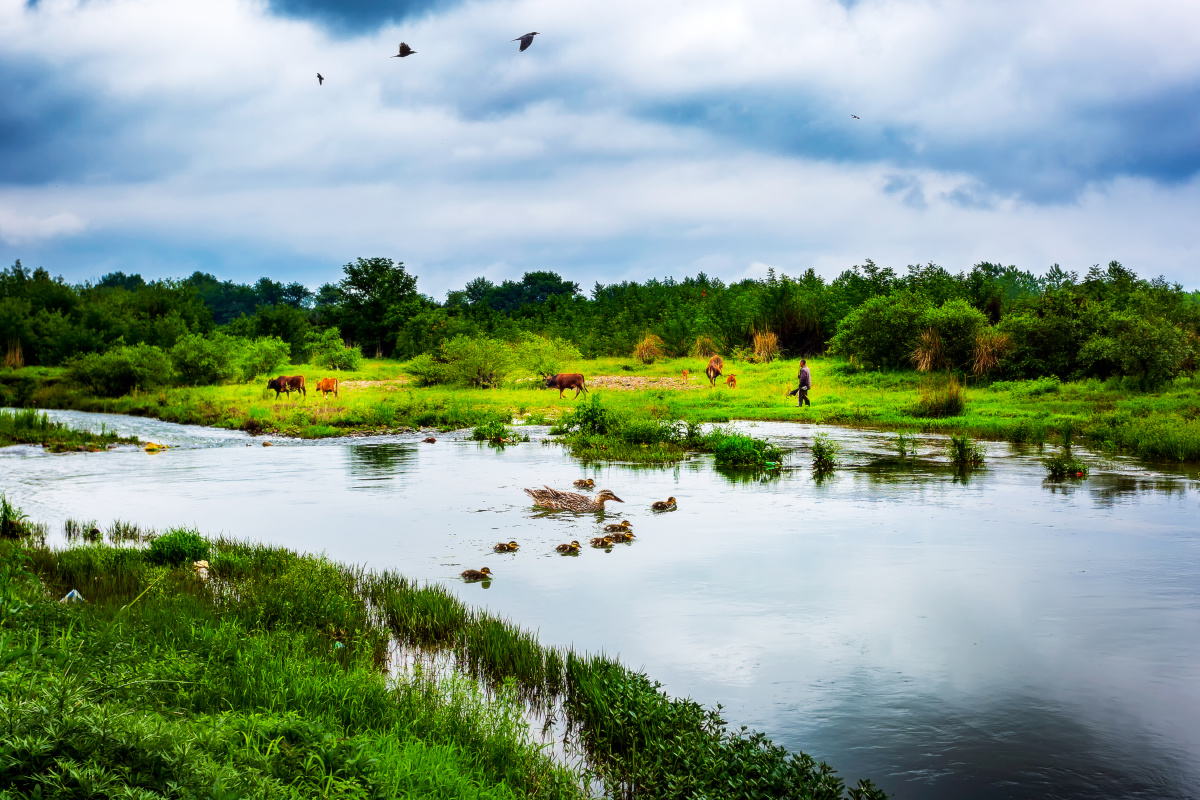 的人吧打赏点赞是美德,打赏是鼓励拍摄泾县章渡村,村后河流湿地风光