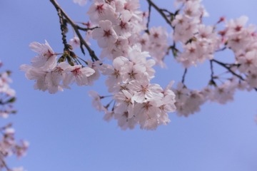 F474D437-D67E-4BC8-8036-5BA92CBF23ED/L0/001