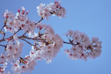 042DF14B-F488-4AC9-90A9-E822EA538C04/L0/001