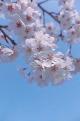 54BA95DB-8712-46B9-97DC-C47F95118267/L0/001