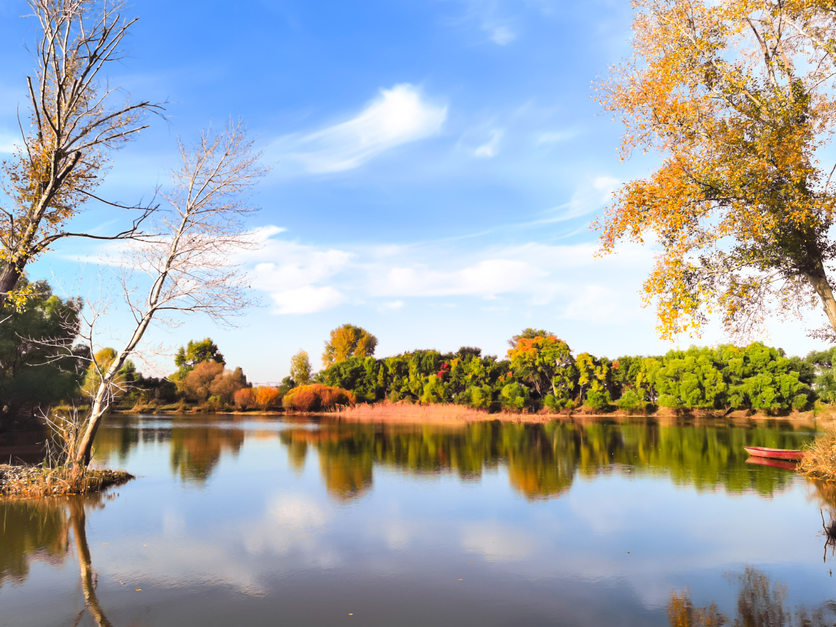 野渡无人舟自横国庆节期间在哈尔滨市太阳岛风景区湿地手机拍摄的秋景