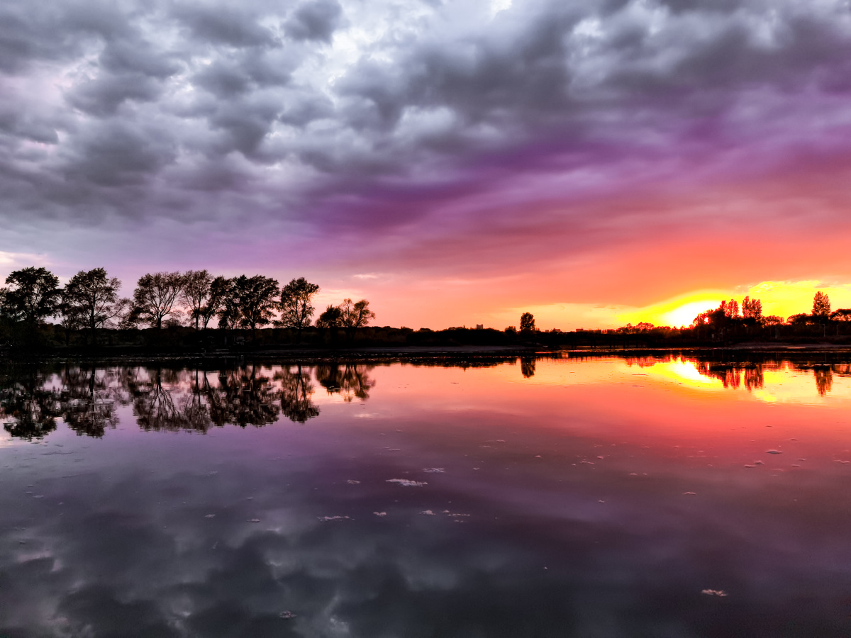 日落前一瞬间的湿地风景