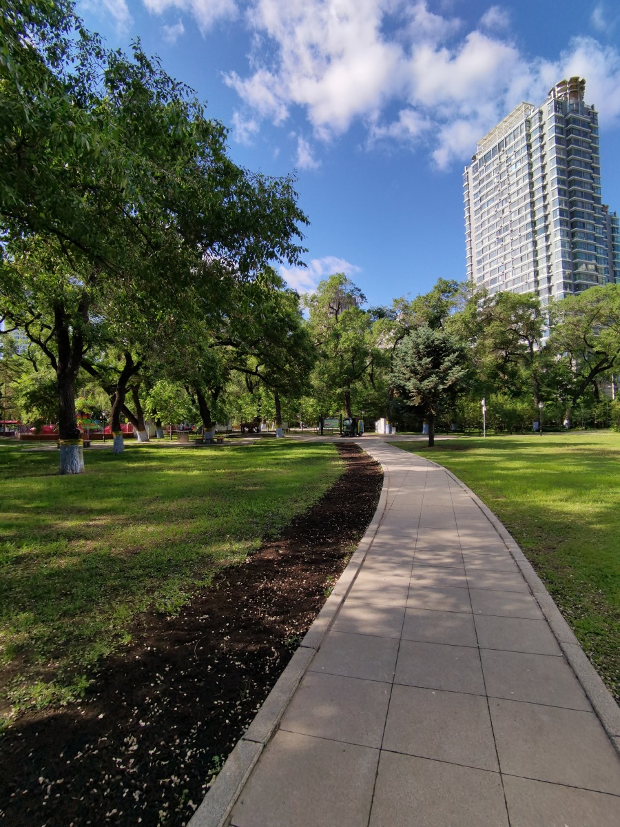 晨练回家路公园草坪的一条小路