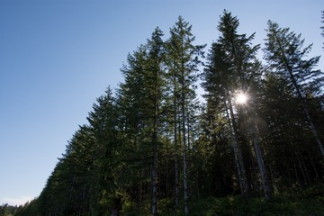 4407508022