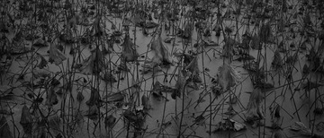 2009368