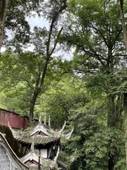 EF77F1BD-A860-4F0D-8BBB-E56586D754E4/L0/001