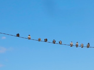 A9D4FD05-1639-4DF1-8E5E-3004CA55BDD8/L0/001