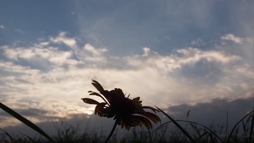 4BEB9E27-E3F2-446C-9052-C8EB33C60C52/L0/001