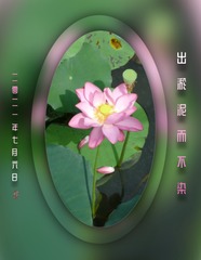 64067888-4807-4648-8985-8AE9135E29D5/L0/001