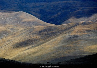 _MG_8747.JPG
