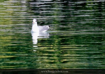 _MG_3678.JPG