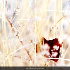 _MG_6826.JPG
