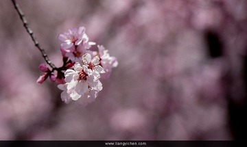 _MG_9711.jpg