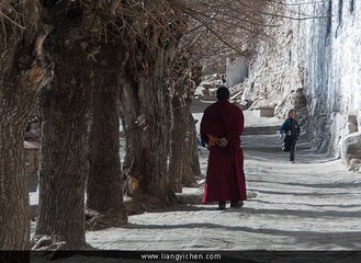 DSC_5959.jpg