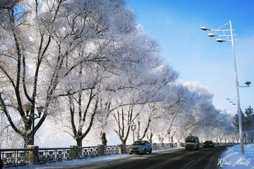dsc_1702_副本.jpg