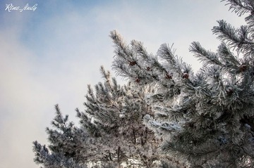 DSC_1713_副本.jpg