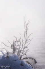 DSC_1733_副本.jpg