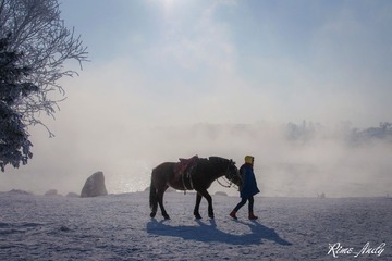 DSC_1747_副本.jpg