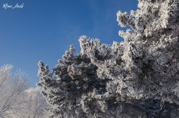 DSC_1749_副本.jpg