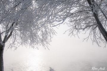 dsc_1752_副本.jpg