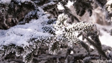 DSC_1839_副本.jpg