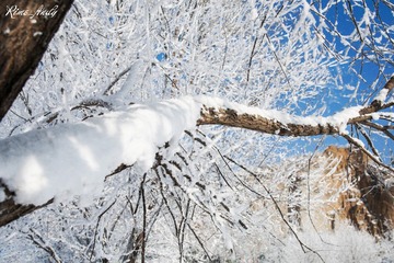 DSC_1917_副本.jpg