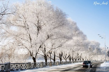 DSC_1944_副本.jpg