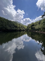 1F4765F5-8A11-499F-AC80-53DF4CF84366/L0/001
