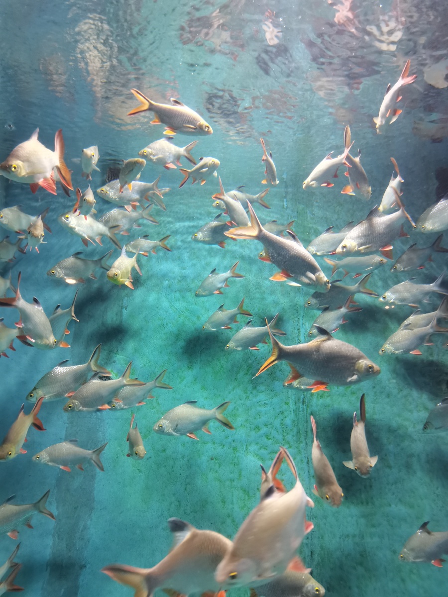 海底世界 - 摄影师162157610736502