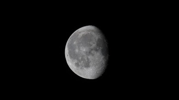 1000169762