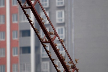 房子系列-现代住房：.jpg