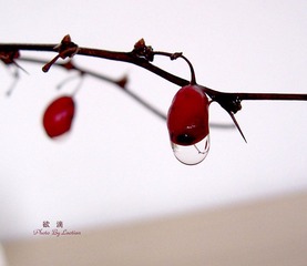 2_672794_19a3baef2f12396.jpg