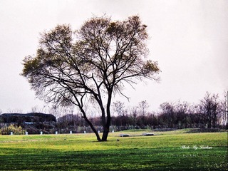 珍珠公园风光4.jpg