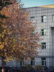 3B8F070F-D6FD-4ED0-9AF5-1D5E0F634E45/L0/001