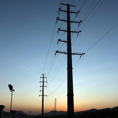 IMG_1593.JPG