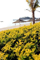 IMG_2909_副本.jpg