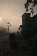 DSC_1280.jpg