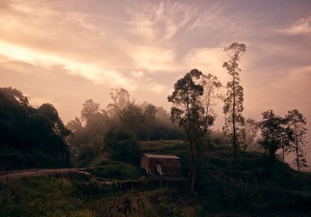 DSC_1282.jpg