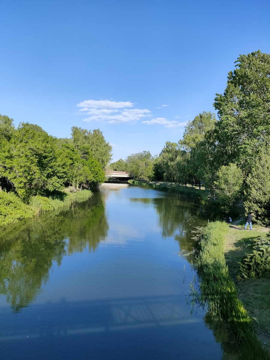 路过的风景随手一拍记录美好一瞬间