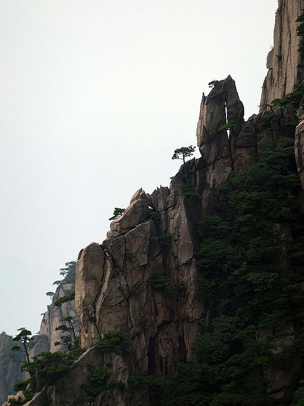 黄山怪石多(15)——"武松打虎"(摄于安徽黄山)