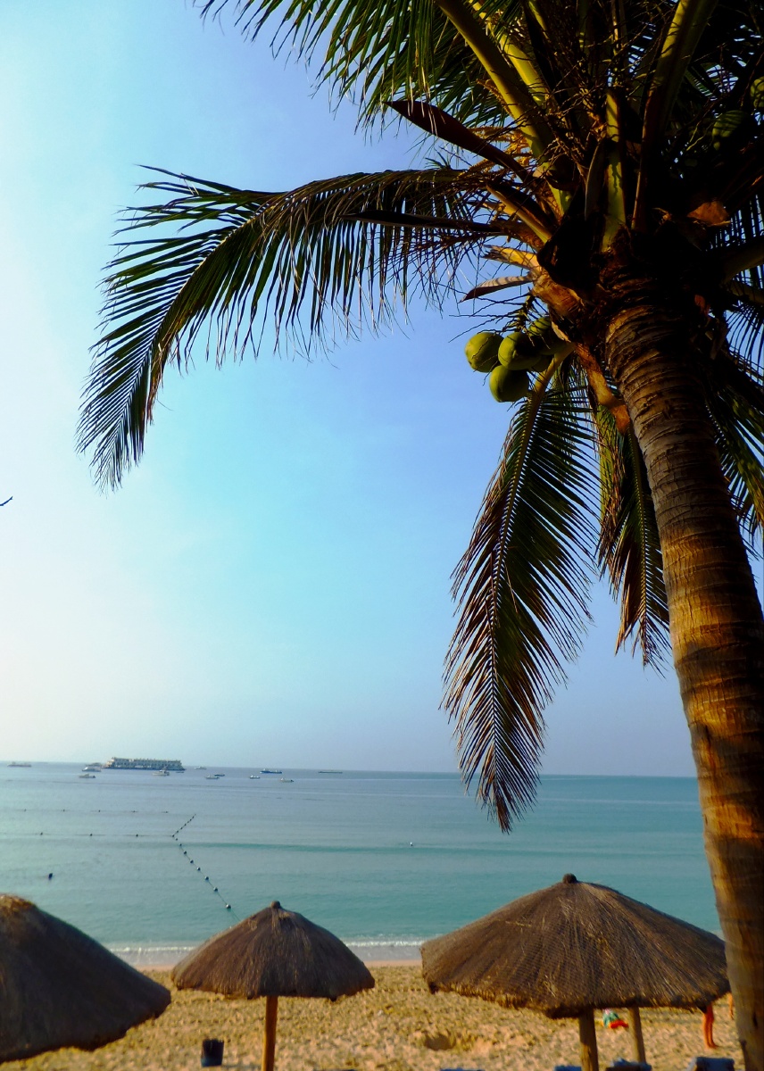 碧海潮生(9)——"南海椰风"(摄于海南三亚)