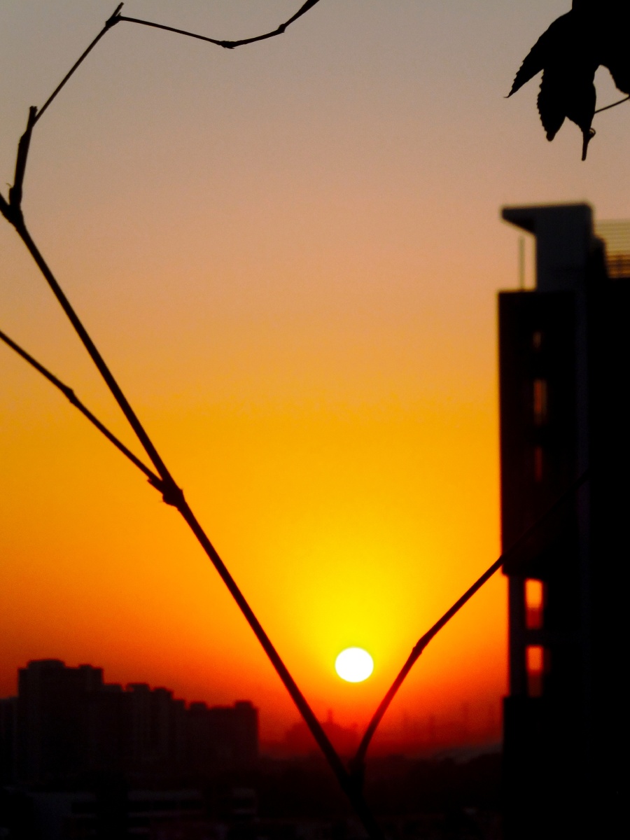 城市一角53高楼落日红