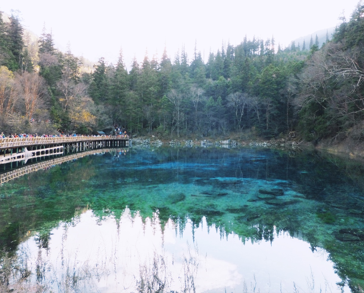 秋醉九寨沟清清五彩池摄于四川九寨沟