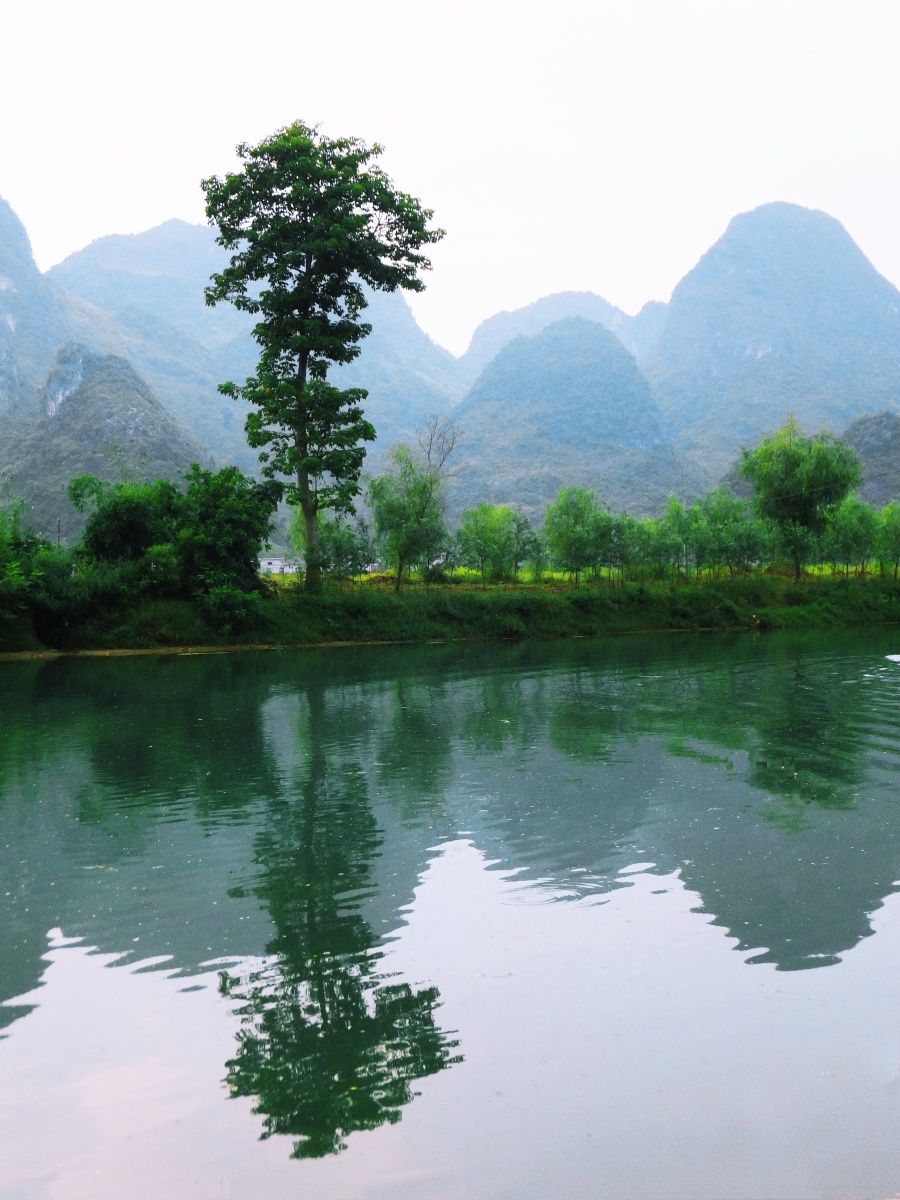 巴马长寿村 - 浅水游鱼 - 图虫