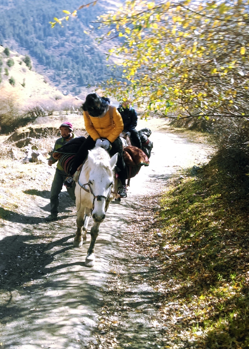 —《悠然骑秋山》(摄于四川松藩牟尼沟)